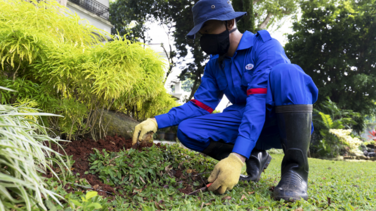Jasa-Tukang-Taman-Pemeliharaan-Taman-Perkantoran-1280×720
